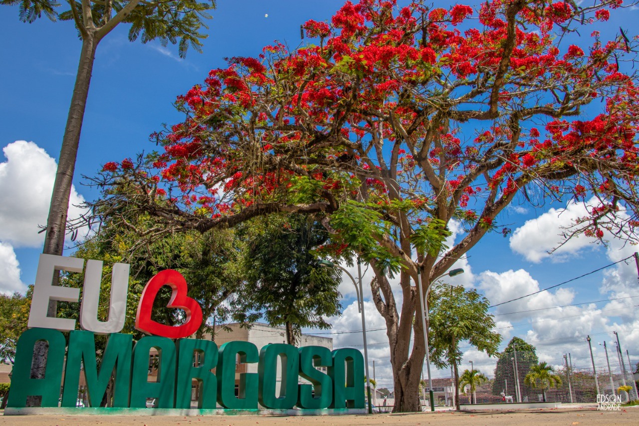 Placa Eu Amo Amargosa